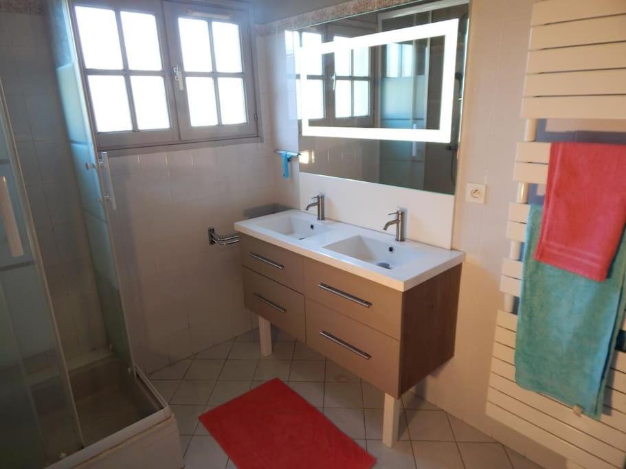 St Malo Maison Avec Jardin Proche Gare Plage Intramuros Chien Admis Parking Gratuit Saint-Malo Exterior foto